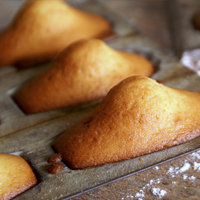 madeleines-biscuiterie-orleans-to-be-scuit